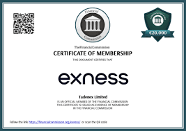 Understanding MetaTrader 4 Exness Limited VC Trading Platform